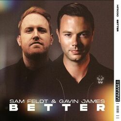 Better - Sam Feldt