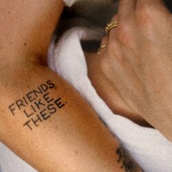 Friends Like These - RHODES