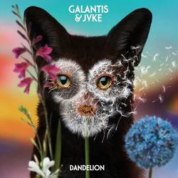 Dandelion - Galantis