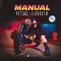 Manual - Feyjão