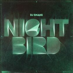 Nightbird - Dj Snake