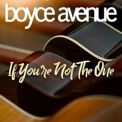If You're Not the One - Boyce Avenue