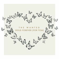 Gold Forever (For Tom) - The Wanted
