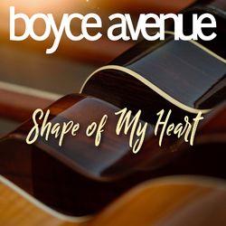 Shape of My Heart - Boyce Avenue
