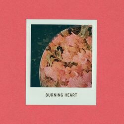 Burning Heart - Dashboard Confessional
