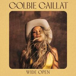 Wide Open - Colbie Caillat