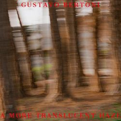 A More Translucent Haze - Gustavo Bertoni