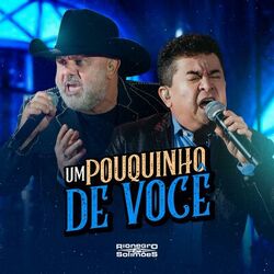 Rionegro & Solimões – Peão Apaixonado Lyrics