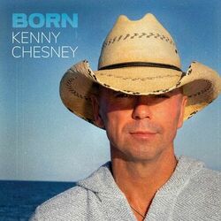 Just To Say We Did - Kenny Chesney