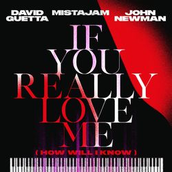 If You Really Love Me (How Will I Know) - David Guetta
