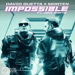 Impossible (feat. John Martin) - David Guetta