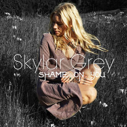 Shame on You - Skylar Grey
