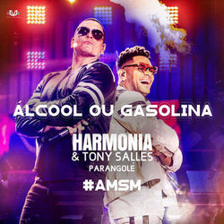 Álcool ou Gasolina - Harmonia Do Samba