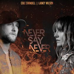 Never Say Never - Cole Swindell