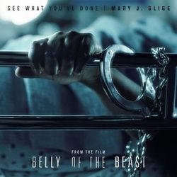 See What You've Done (From The Film Belly Of The Beast) - Mary J. Blige