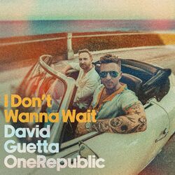 I Don't Wanna Wait - David Guetta
