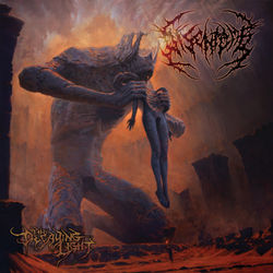 The Decaying Light - Disentomb