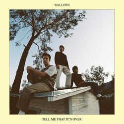 Tell Me That It?s Over - Wallows