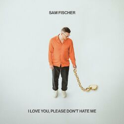 I Love You, Please Don't Hate Me - Sam Fischer