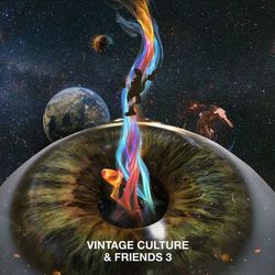 Vintage Culture & Friends 3 - Vintage Culture