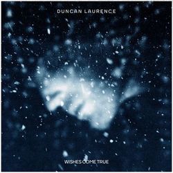 Wishes Come True - Duncan Laurence