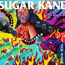 Novidade Média - Sugar Kane