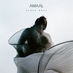 Black Dove - Amaal