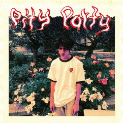 Pity Party - Curtis Waters