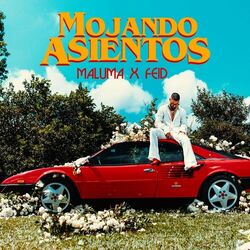 Mojando Asientos (feat. Feid) - Maluma