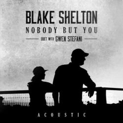 Nobody But You (Duet with Gwen Stefani) (Acoustic) - Blake Shelton