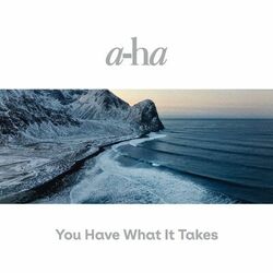 You Have What It Takes - A-Ha