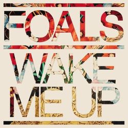 Wake Me Up - Foals