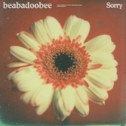 Sorry - beabadoobee