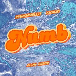 Numb (Alok Remix) - Marshmello