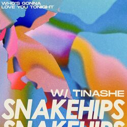 Who's Gonna Love You Tonight - Snakehips