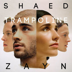 Trampoline - SHAED