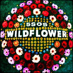 Wildflower - 5 Seconds of Summer