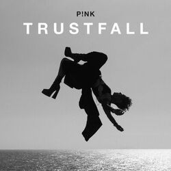 TRUSTFALL - Pink