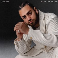 Can't Let You Go - Ali Gatie