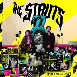 I Hate How Much I Want You - The Struts