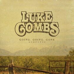 Going, Going, Gone (Acoustic) - Luke Combs