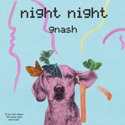 night night - gnash