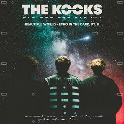 Beautiful World - Echo in the Dark, Pt. II - The Kooks