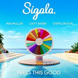 Feels This Good (feat. Stefflon Don) - Sigala