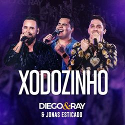 Xodozinho (Ao Vivo) - Diego & Ray