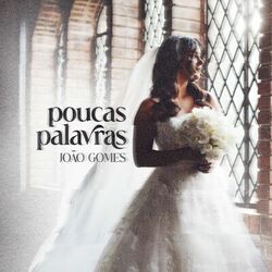 Poucas Palavras - João Gomes