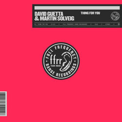 Thing For You (With Martin Solveig) - David Guetta