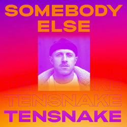 Somebody Else (Tensnake)