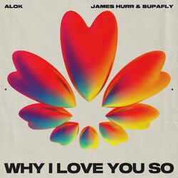 Why I Love You So - Alok