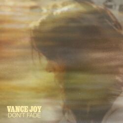 Don't Fade - Vance Joy
